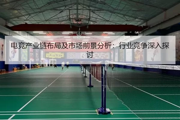 电竞产业链布局及市场前景分析：行业竞争深入探讨